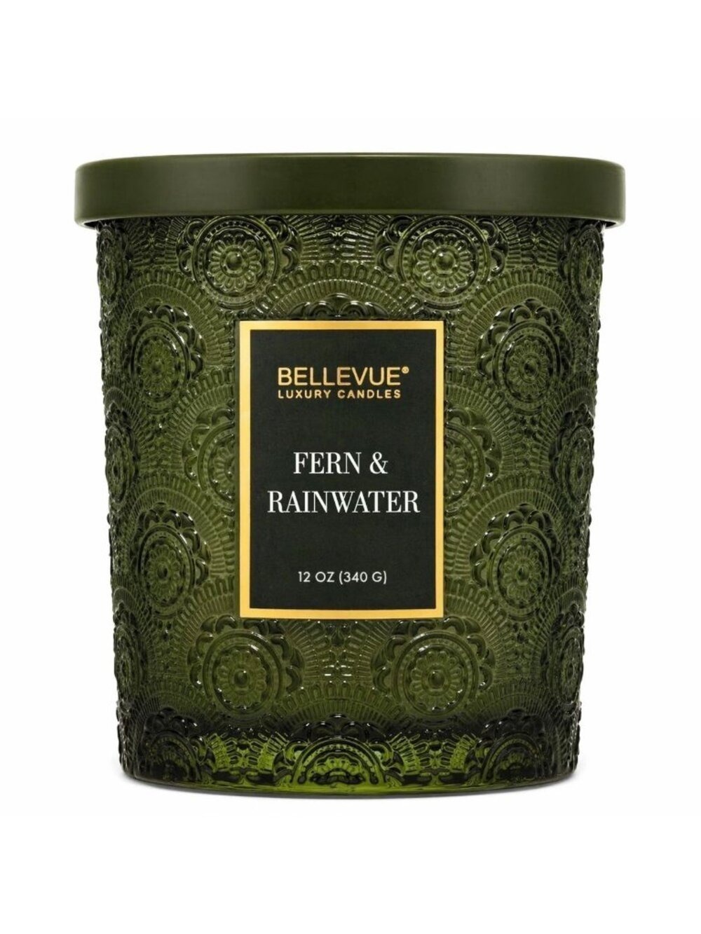 Bellevue Luxury 2-Wick Candle Fern & Rainwater 12oz Green Glass Jar NEW